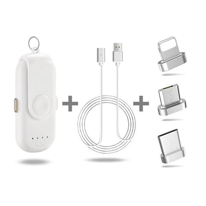 Portable Magnetic Battery Charger